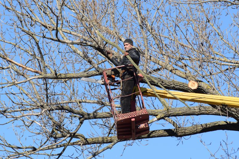 Tree Maintenance Crew